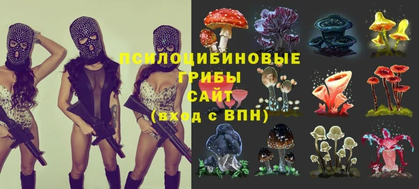 дмт Алзамай