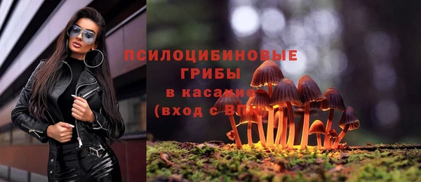 MDMA Алексин