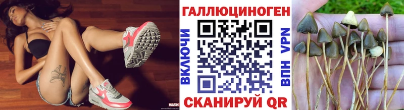 Галлюциногенные грибы Magic Shrooms  Нелидово 